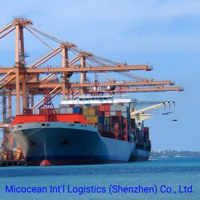 FCL/LCL Sea Shipping Services From China to Angola